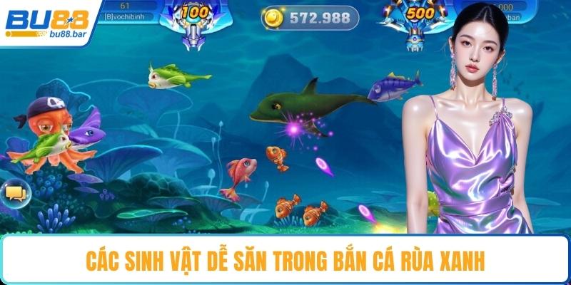 Các sinh vật dễ săn trong bắn cá rùa xanh