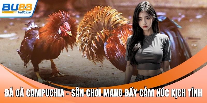 Đá gà Campuchia