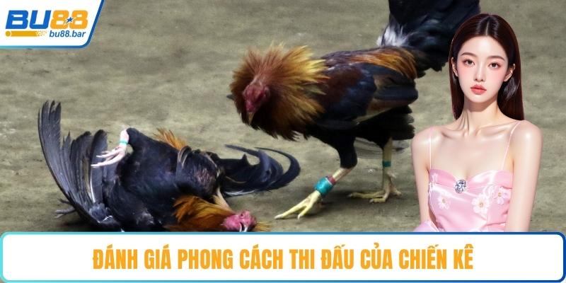 Đánh giá phong cách thi đấu của chiến kê