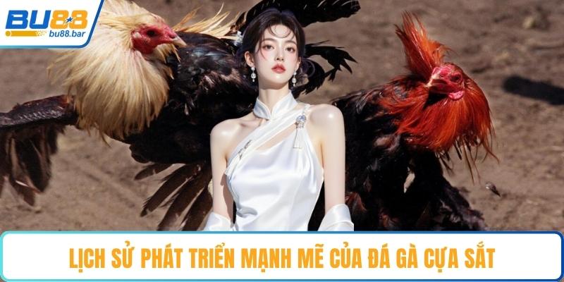 Lịch sử phát triển mạnh mẽ của đá gà cựa sắt