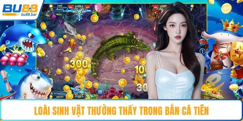 Loài sinh vật thường thấy trong bắn cá tiên