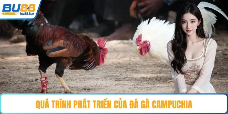 Quá trình phát triển của đá gà Campuchia